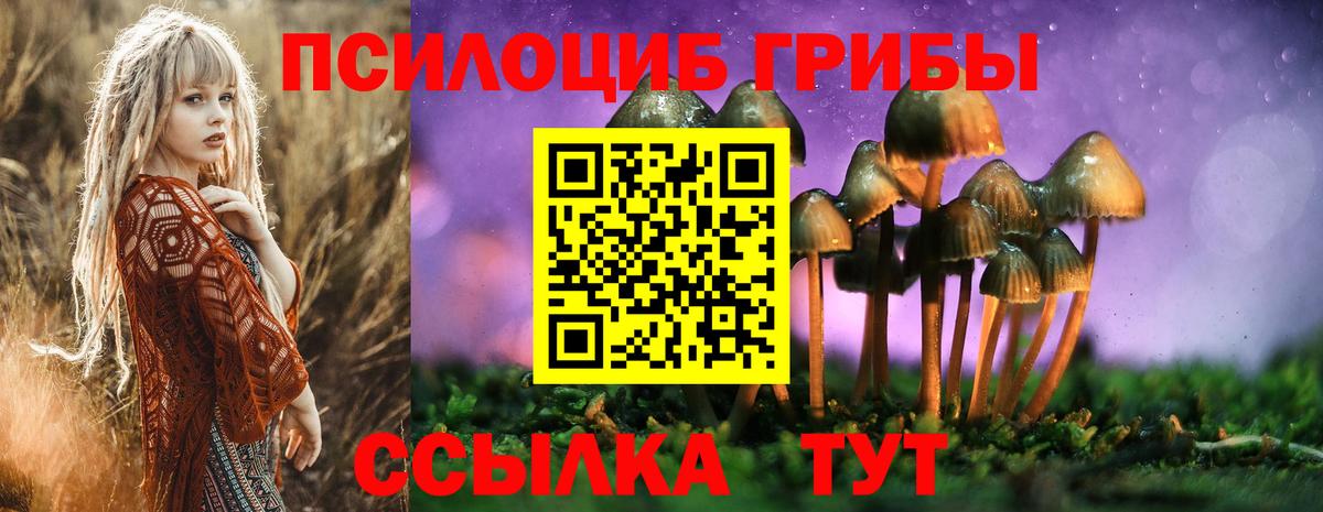 Псилоцибиновые грибы MAGIC MUSHROOMS Россия