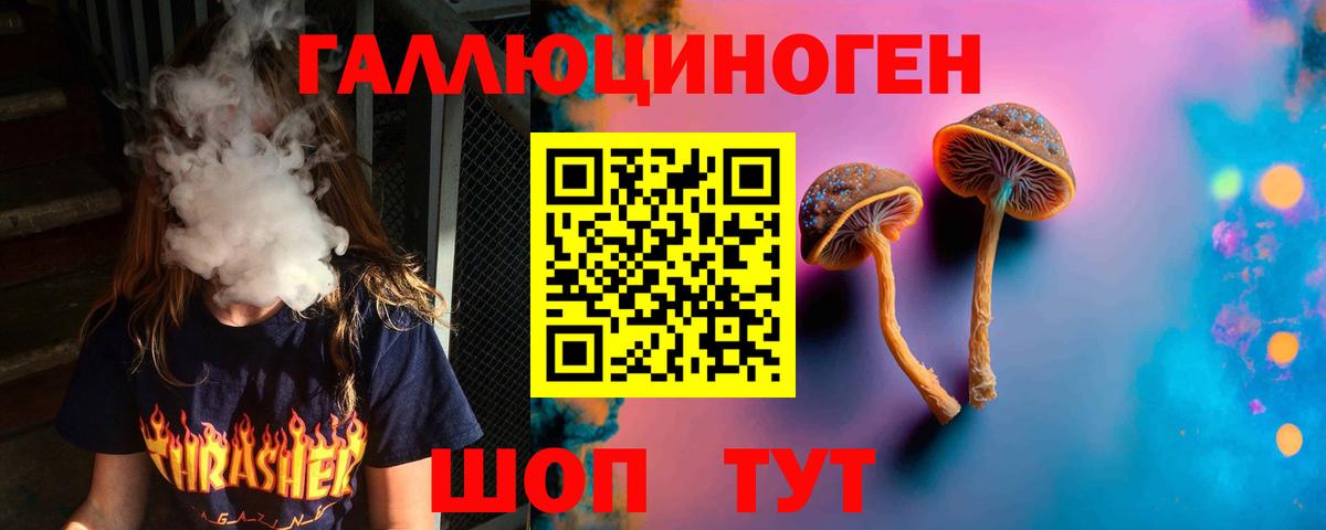 Россия  Галлюциногенные грибы GOLDEN TEACHER  Вход с VPN 